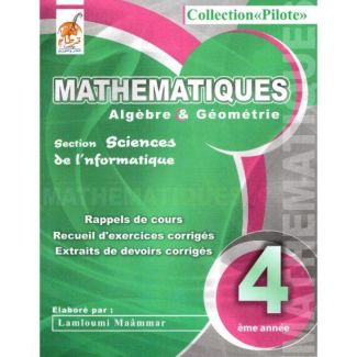 MATHEMATIQUE COLLECTION PILOTE BAC INFORMATIQUE